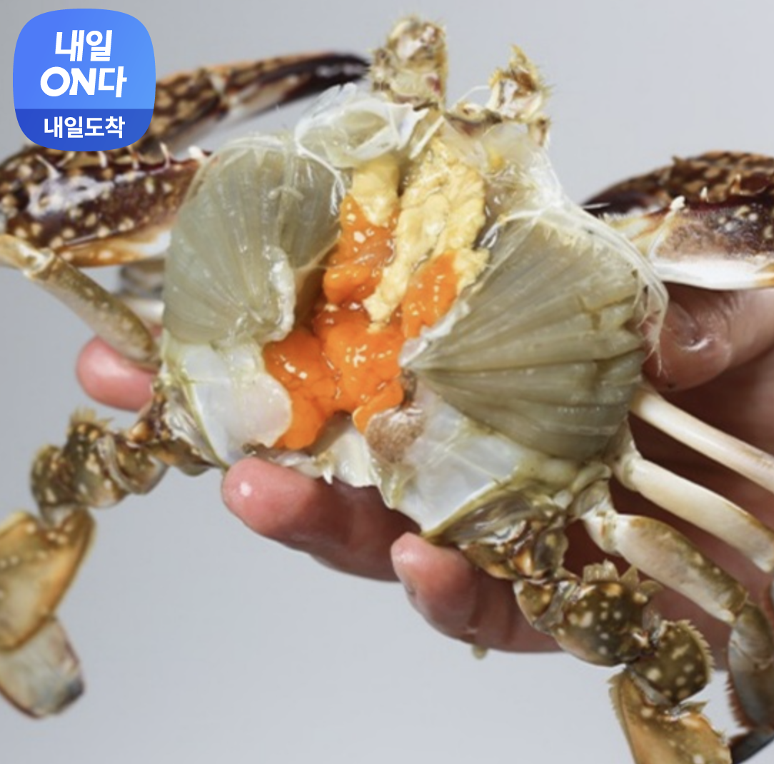 싱싱햇 연평도 알배기 암꽃게 냉동꽃게 급냉 꽃게 1kg 3-5미