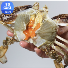 싱싱햇 연평도 알배기 암꽃게 냉동꽃게 급냉 꽃게 1kg 3-5미