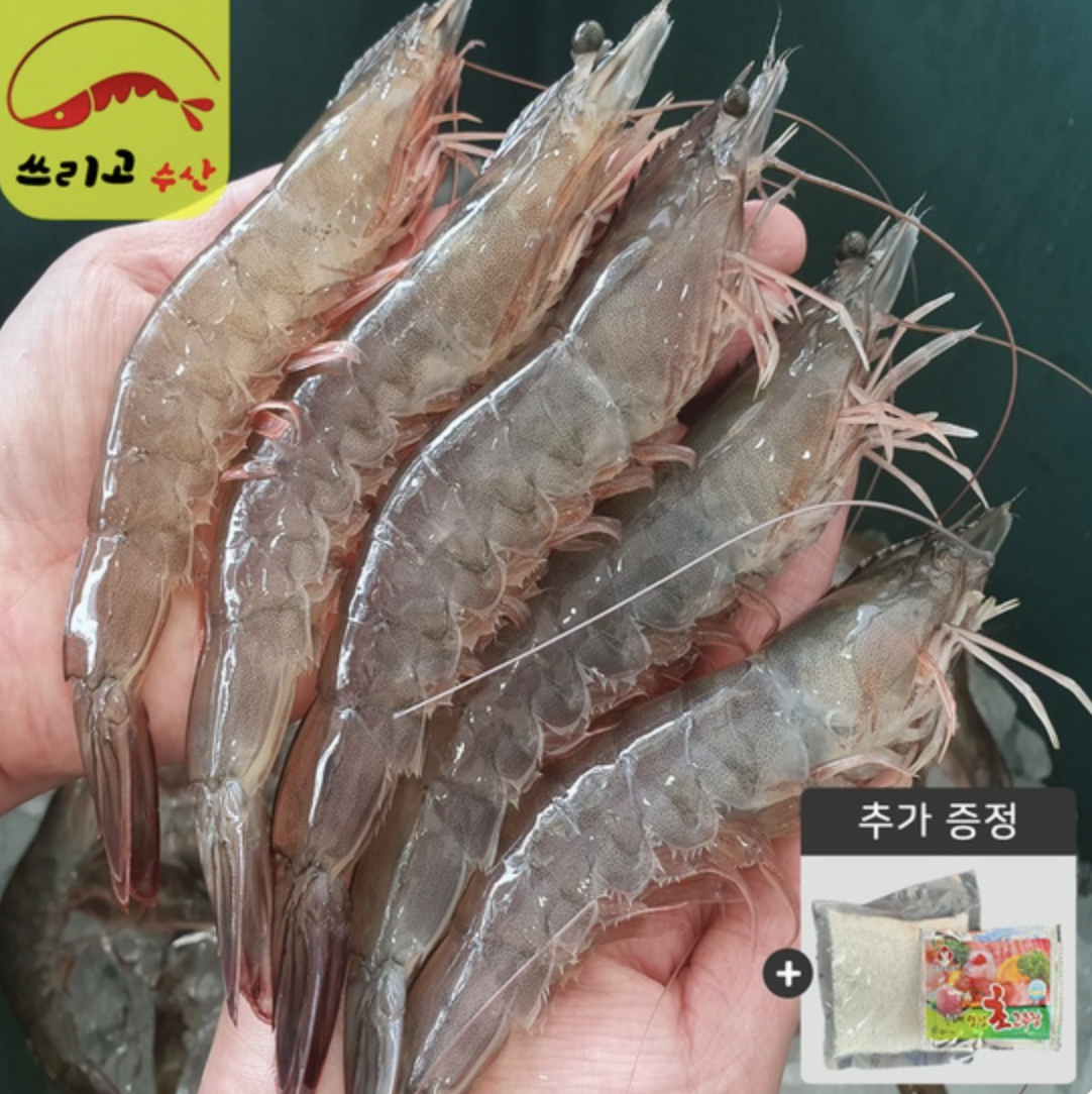 해동 흰다리 새우 (페루산) 마리