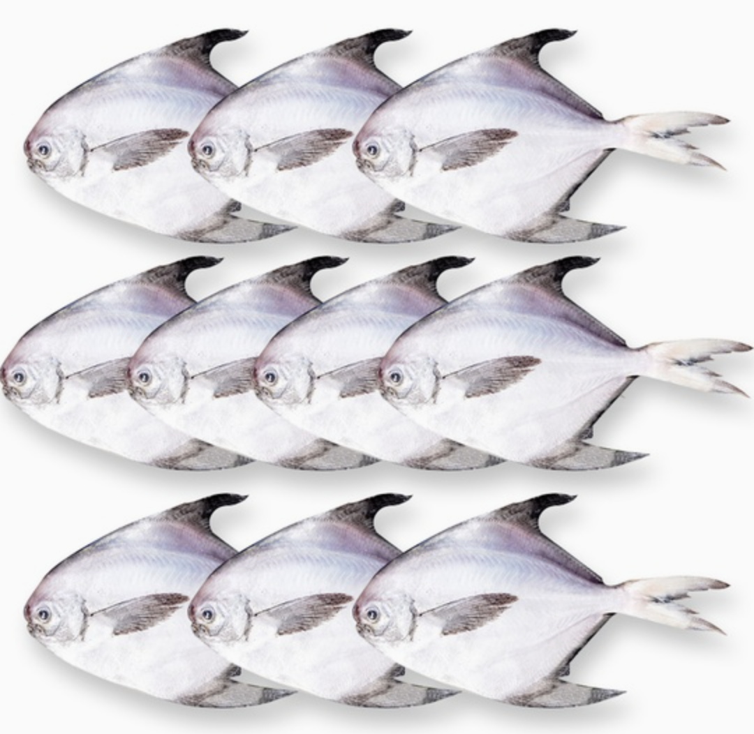 국내산 손질 병어 국산 회 찌개 조림 구이 간편 개별 포장 냉동 순살 손질 생선 병어 10미