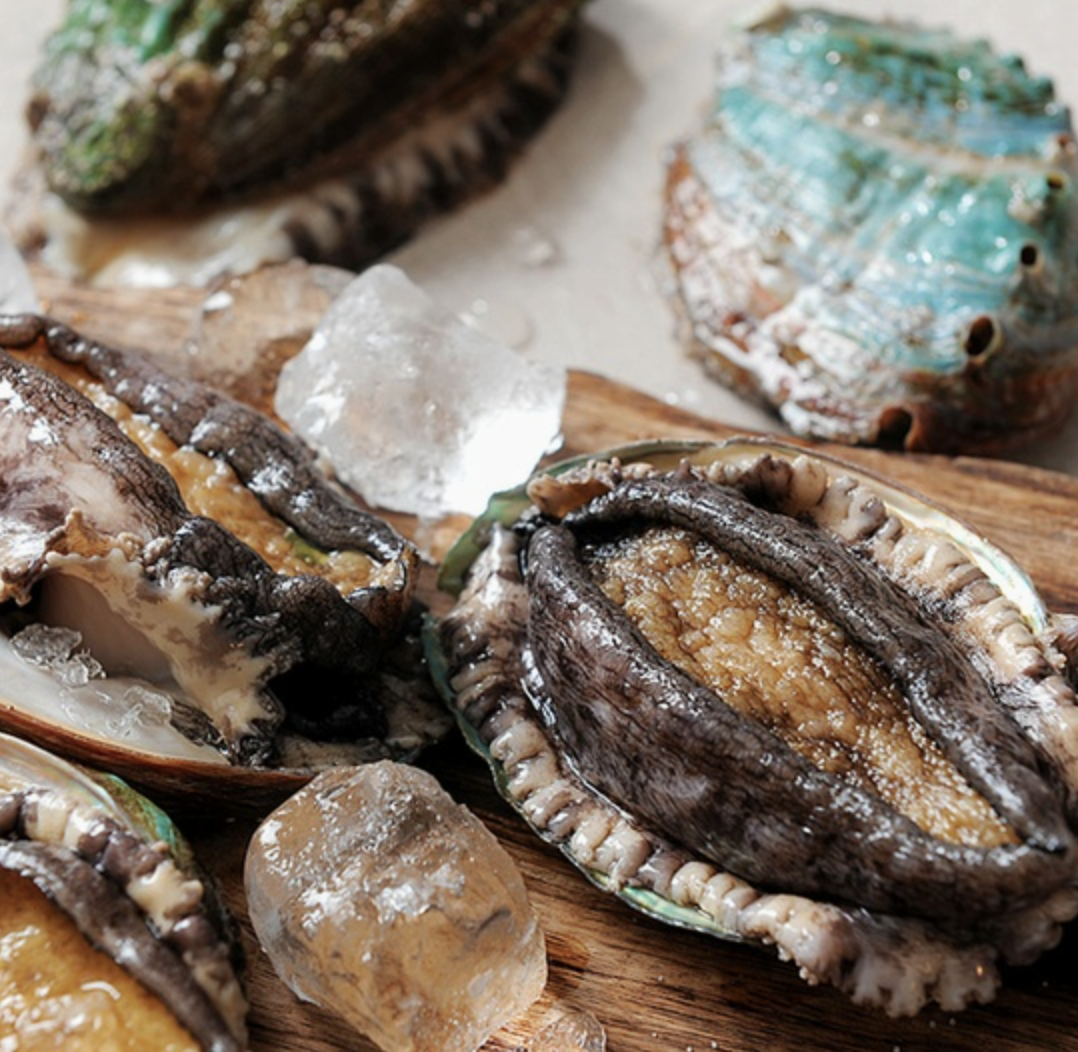 완도활전복 왕특대 14미(미당 100~120g) 산지직송 산소포장